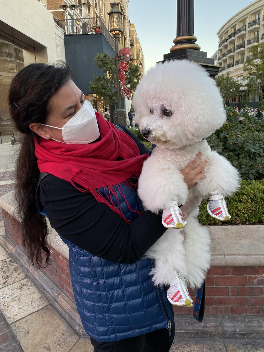 Cotton's covered paws at the Americana, Glendale