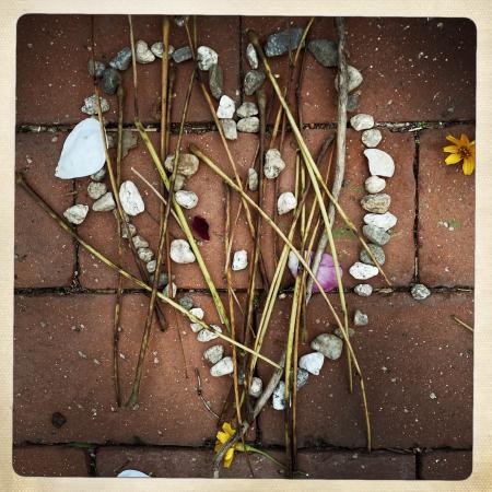 On My Block/Petals and Pebbles 2