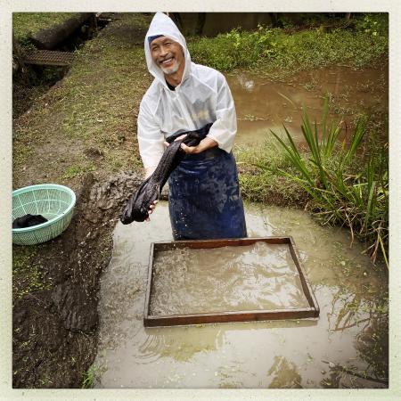 Mud dyeing